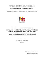 TFG Iniesta Ortuño, Antonio.pdf.jpg