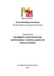 TD  Hernández Herrero, Luis Alberto.pdf.jpg