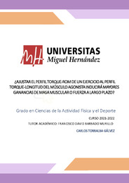 TFG-Torralba Gálvez, Carlos.pdf.jpg