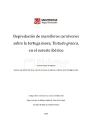 TFG_Vicente_Pastor_Torregrosa.pdf.jpg