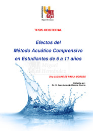 TD Paula Borges, Luciane.pdf.jpg