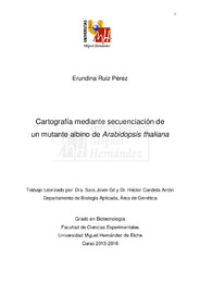 TFG Ruiz Pérez, Erundina.pdf.jpg