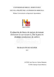 TFM Salinas Marquina, Juan Francisco.pdf.jpg