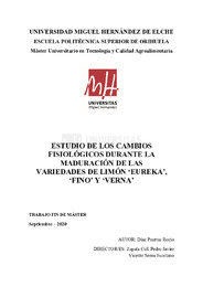 TFM Díaz Puertas,  Rocio.pdf.jpg