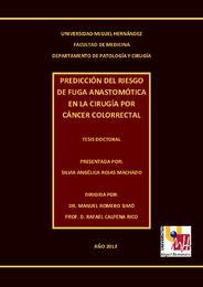 ED3 TESIS DOCTORAL SILVIA ROJAS.pdf.jpg