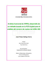 Juan Felipe Gallego Serna.pdf.jpg