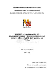 TFG Mercader Soto, Juan.pdf.jpg