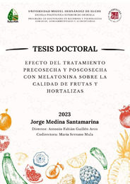 TESIS doctoral Jorge Medina Santamarina_compressed (1).pdf.jpg