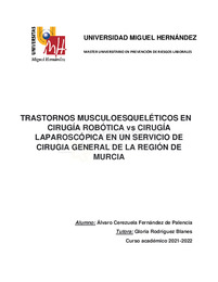 CEREZUELA_FERNANDEZ-DE-PALENCIA_ALVARO_TFM.pdf.jpg