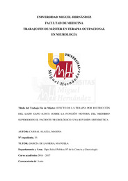 TFM Carral Alaiza, Marina.pdf.jpg