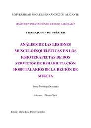 Montoya Navarro, Irene TFM.pdfH.pdf.jpg