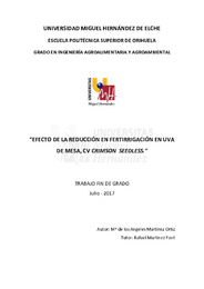 TFG Martínez Ortiz, María de los Ángeles.pdf.jpg