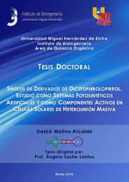 TD Molina Alcaide, Desiré.pdf.jpg