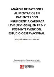 Honrubia Mateo, Alejandro_TFM.pdf.jpg
