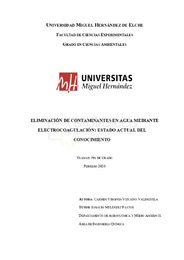 Vizcaino Valenzuela, Carmen Virginia.pdf.jpg
