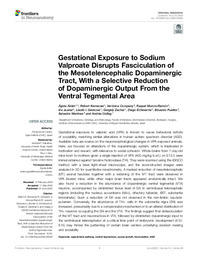 Gestational Exposure to Sodium Valproate Disrupts Fasciculation of the Mesotelencephalic Dopaminergic Tract, With a Selective Reduction of Dopaminergic Output From the Vent.pdf.jpg