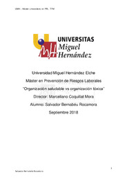 BERNABEU ROCAMORA, SALVADOR TFM.pdf.jpg