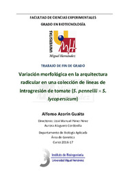 TFG Azorín Guaita_Alfonso.pdf.jpg