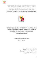 TFG Tortosa Sánchiz, Héctor.pdf.jpg