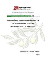 TFM De Lasheras Merino, Francisco.pdf.jpg