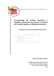 TD Torres Climent, Ángel.pdf.jpg