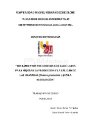 TFG Serna Ferrández, Sergio.pdf.jpg