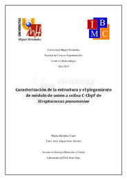 Bernabeu Cantó, Marina TFGBiotec 2014-15.pdf.jpg