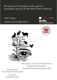 T. Valiño Perez, Arturo Jose.pdf.jpg