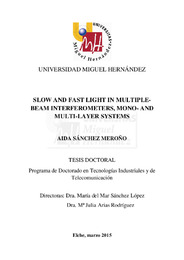 TD Doctoral Aida Sánchez Meroño .pdf.jpg