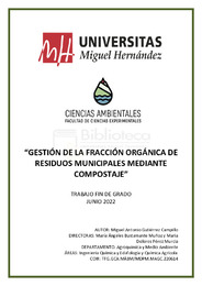 TFG-Gutiérrez Campillo, Miguel Antonio.pdf.jpg