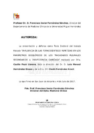 TD Payá Llorens, Cecilia.pdf.jpg