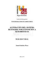 TD Sánchez Pérez, Ismael.pdf.jpg