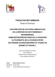 TFG Sánchez Torres, Diana.pdf.jpg