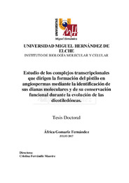 TD Gomariz Fernández, Africa.pdf.jpg
