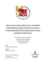 TFG Jorge Sánchez-Majano Navarro.pdf.jpg