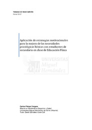 Pelayo Bergara, Carlos_TFM.pdf.jpg