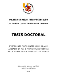 TESIS DIANA MARIA NAVARRO MARTINEZ.pdf.jpg