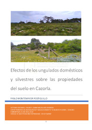 TFG-Montemayor Postiguillo, Pablo.pdf.jpg