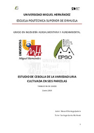 TFG Domingo Jacinto, Manuel.pdf.jpg