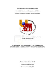 TFG-Alemañ Morell, Ainara.pdf.jpg