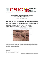 TESIS Meseguer Vigueras pdf.pdf.jpg