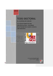 TD Rey Nodar, Severino.pdf.jpg