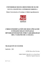 TFM Ruiz Calventus, Blanca.pdf.jpg