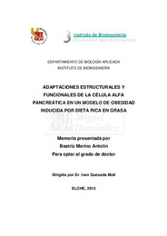 TD Beatriz Merino Antolín.pdf.jpg