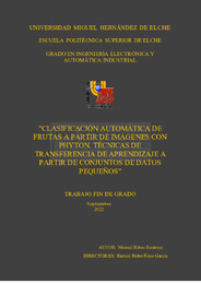 TFG-Ribes Escamez, Manuel.pdf.jpg