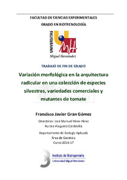 TFG Gran Gomez Francisco Javier.pdf.jpg