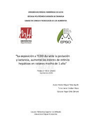 TFG Héctor Miguel Pérez Agulló.pdf.jpg