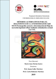 TD. Merino Suárez, Maria Luisa.pdf.jpg