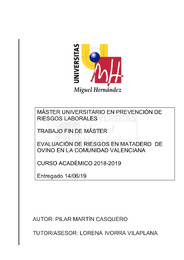 MARTIN CASQUERO, PILAR TFM.pdf.jpg