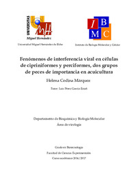 TFG Codina Márquez, Helena.pdf.jpg